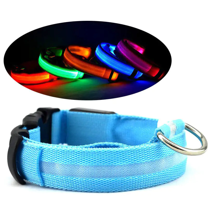 Lexy & J LED PET Safety Halo Style Collar