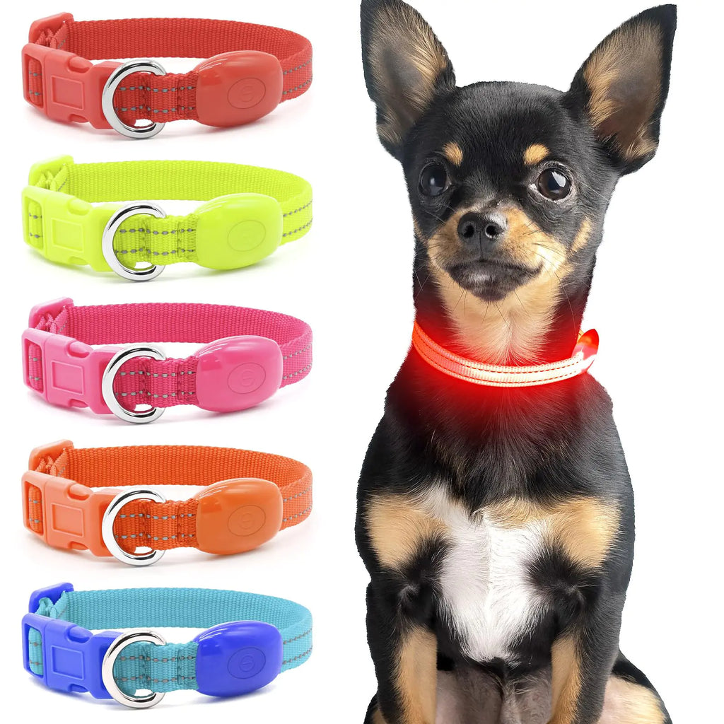 LED Glow-in-the-Dark Dog Collar – USB Rechargeable & Reflective