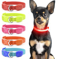 LED Glow-in-the-Dark Dog Collar – USB Rechargeable & Reflective