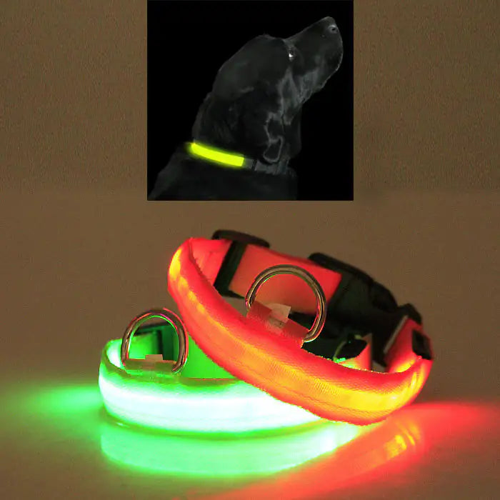 Lexy & J LED PET Safety Halo Style Collar