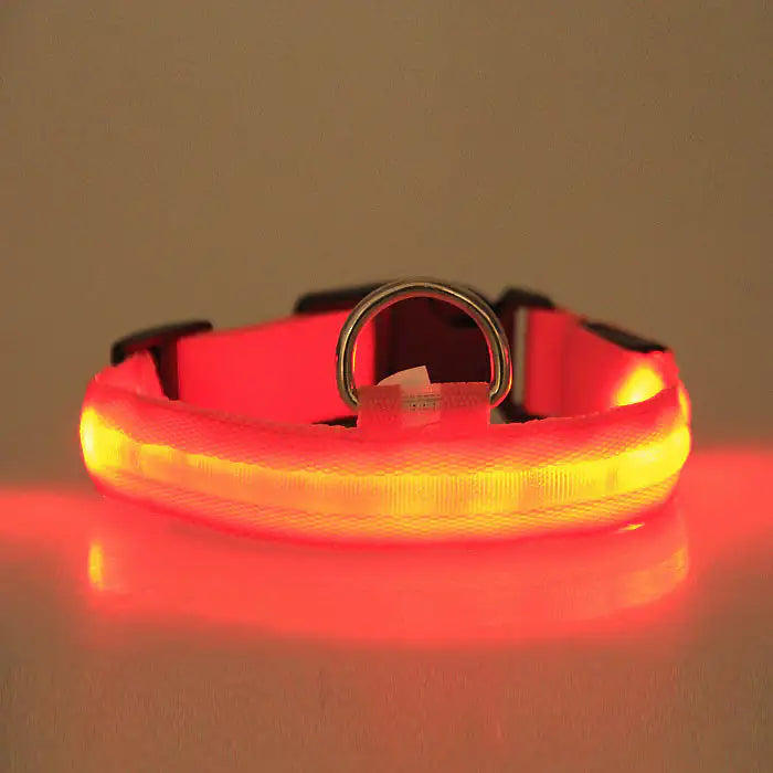 Lexy & J LED PET Safety Halo Style Collar