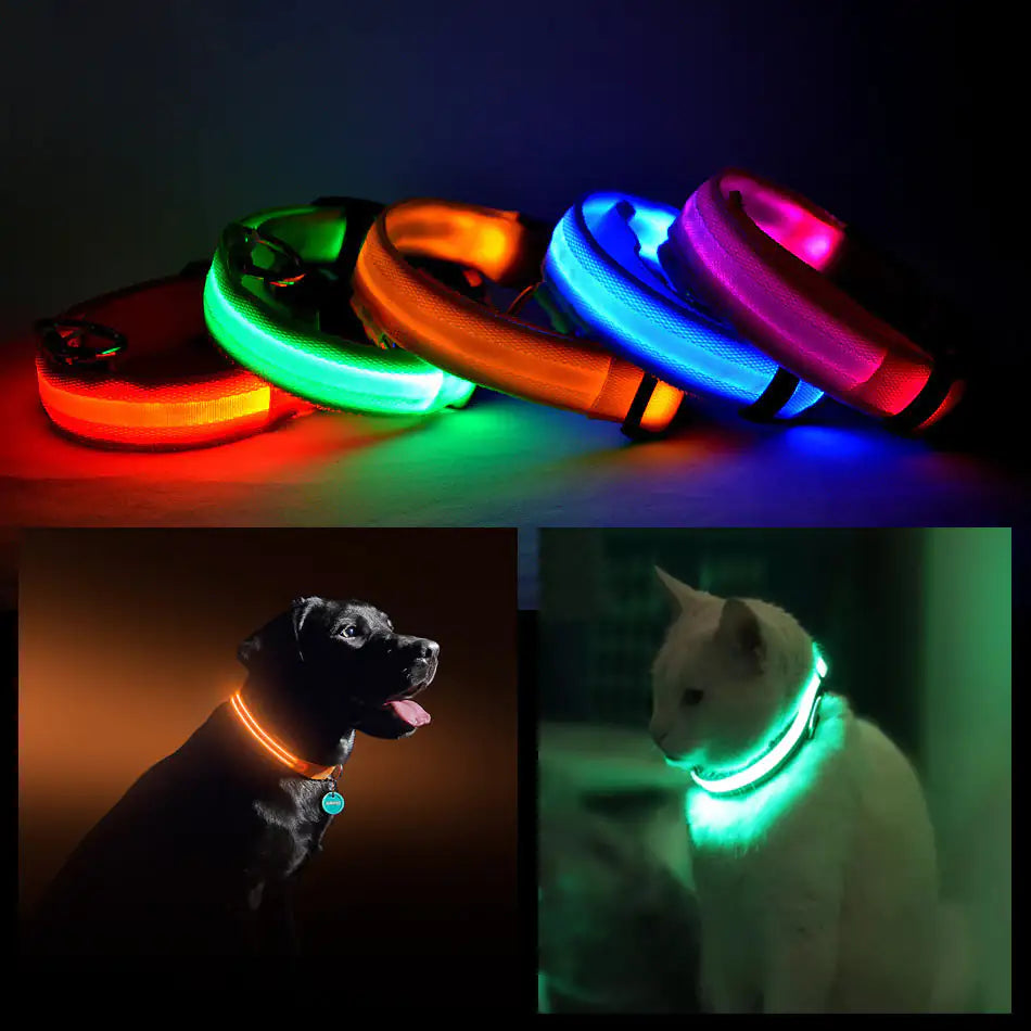 Lexy & J LED PET Safety Halo Style Collar