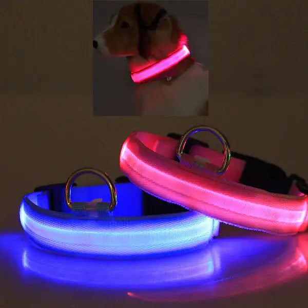 Lexy & J LED PET Safety Halo Style Collar